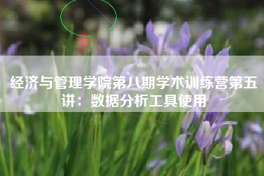 经济与管理学院第八期学术训练营第五讲：数据分析工具使用
