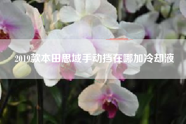 2019款本田思域手动挡在哪加冷却液 2019款本田思域手动挡在哪加冷却液