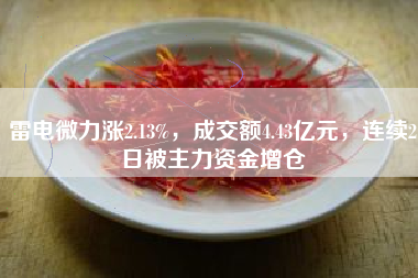 雷电微力涨2.13%，成交额4.43亿元，连续2日被主力资金增仓