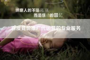 百度竞价推广代运营的专业服务