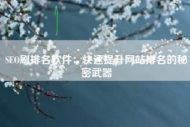 SEO刷排名软件：快速提升网站排名的秘密武器