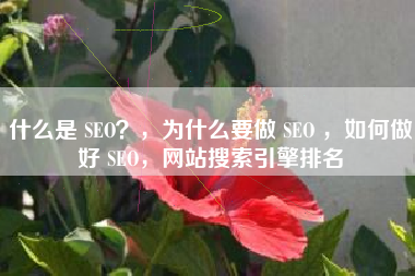 什么是 SEO？，为什么要做 SEO ，如何做好 SEO，网站搜索引擎排名