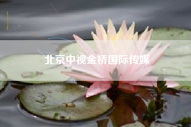 北京中视金桥国际传媒 北京中视金桥国际传媒