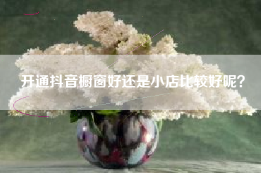 开通抖音橱窗好还是小店比较好呢？