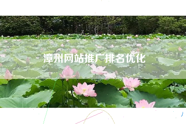漳州网站推广排名优化