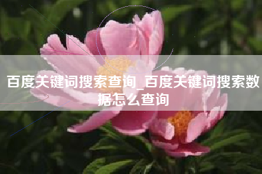 百度关键词搜索查询_百度关键词搜索数据怎么查询