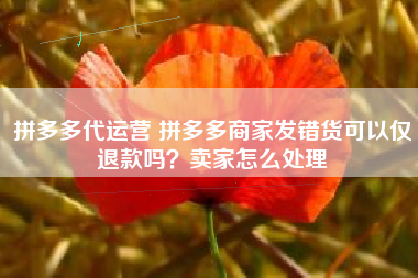 拼多多代运营 拼多多商家发错货可以仅退款吗？卖家怎么处理