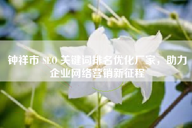 钟祥市 SEO 关键词排名优化厂家，助力企业网络营销新征程