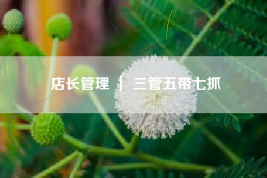 店长管理 ｜ 三管五带七抓