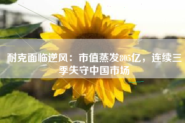 耐克面临逆风：市值蒸发805亿，连续三季失守中国市场