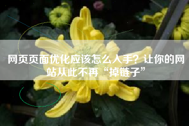 网页页面优化应该怎么入手？让你的网站从此不再“掉链子”