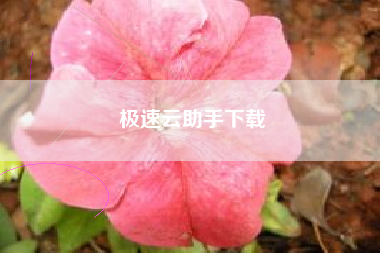 极速云助手下载