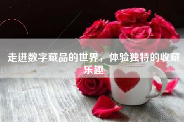 走进数字藏品的世界，体验独特的收藏乐趣