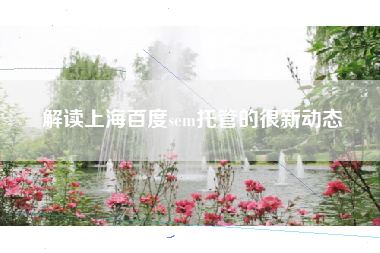 解读上海百度sem托管的很新动态