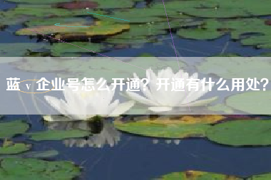 蓝ｖ企业号怎么开通？开通有什么用处？