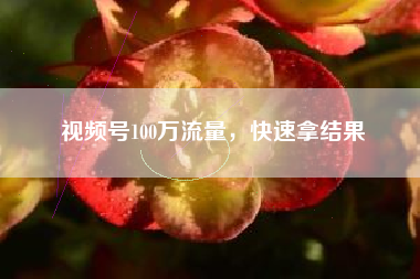 视频号100万流量，快速拿结果