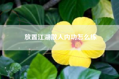 放置江湖散人内功怎么练