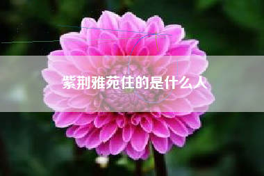 紫荆雅苑住的是什么人