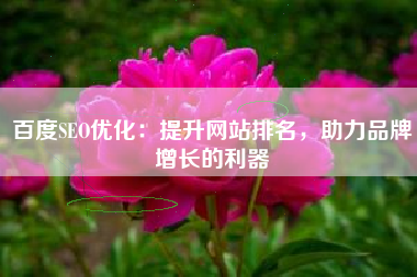 百度SEO优化：提升网站排名，助力品牌增长的利器