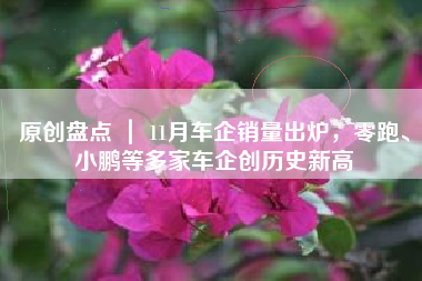 原创盘点 ｜ 11月车企销量出炉，零跑、小鹏等多家车企创历史新高