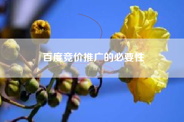 百度竞价推广的必要性