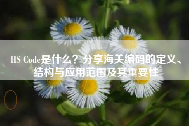 HS Code是什么？分享海关编码的定义、结构与应用范围及其重要性