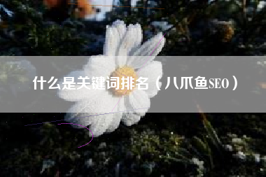 什么是关键词排名(八爪鱼SEO) 什么是关键词排名(八爪鱼SEO)
