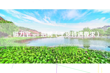磁力宅 seo 招聘(工资待遇要求) 磁力宅 seo 招聘(工资待遇要求)