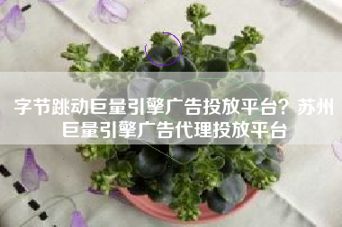 字节跳动巨量引擎广告投放平台？苏州巨量引擎广告代理投放平台