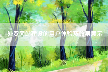 外贸网站建设的用户体验及效果展示