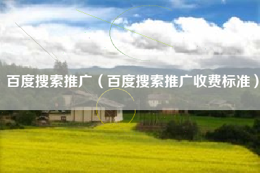 百度搜索推广（百度搜索推广收费标准）