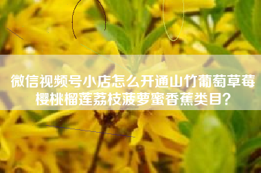 微信视频号小店怎么开通山竹葡萄草莓樱桃榴莲荔枝菠萝蜜香蕉类目？