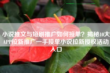 小说推文与短剧推广如何接单？揭秘10大APP拉新推广一手接单小说拉新授权活动入口