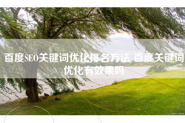 百度SEO关键词优化排名方法 百度关键词优化有效果吗
