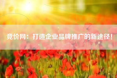 竞价网：打造企业品牌推广的新途径！