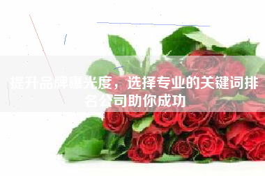 提升品牌曝光度，选择专业的关键词排名公司助你成功