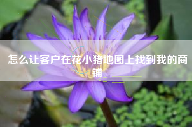怎么让客户在花小猪地图上找到我的商铺 怎么让客户在花小猪地图上找到我的商铺