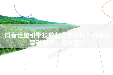 抖音巨量引擎投放怎么看数据？抖音巨量引擎怎么投放图文