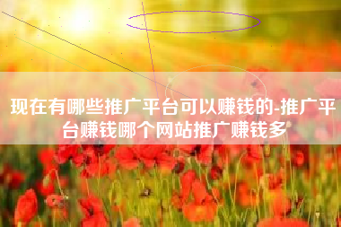 现在有哪些推广平台可以赚钱的-推广平台赚钱哪个网站推广赚钱多