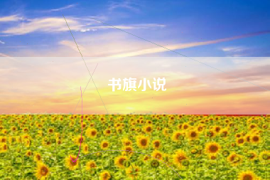 书旗小说