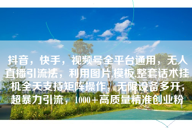 抖音，快手，视频号全平台通用，无人直播引流法，利用图片,模板,整套话术挂机全天支持矩阵操作，无限设备多开，超暴力引流，1000+高质量精准创业粉