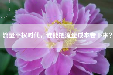 流量平权时代，谁能把流量成本卷下来？