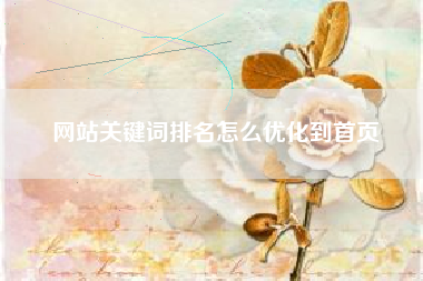 网站关键词排名怎么优化到首页