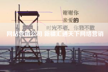 网站营销公司 新疆汇通天下网络营销
