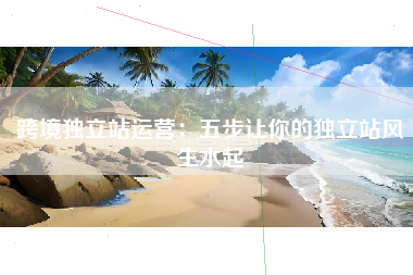 跨境独立站运营：五步让你的独立站风生水起