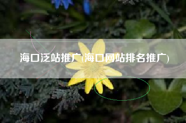 海口泛站推广(海口网站排名推广)