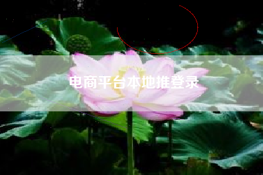 电商平台本地推登录