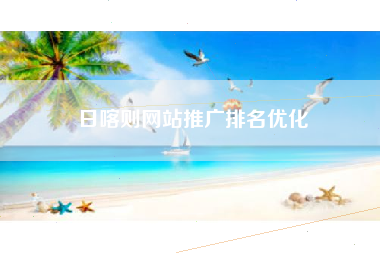 日喀则网站推广排名优化