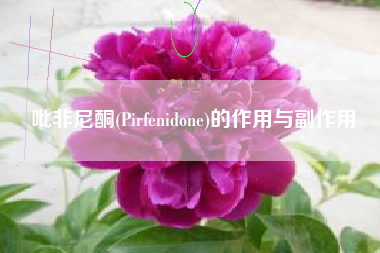 吡非尼酮(Pirfenidone)的作用与副作用 吡非尼酮(Pirfenidone)的作用与副作用