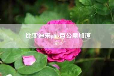 比亚迪宋plus百公里加速 比亚迪宋plus百公里加速